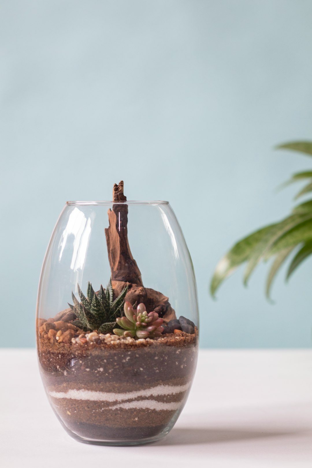 Zen Garden Terrarium